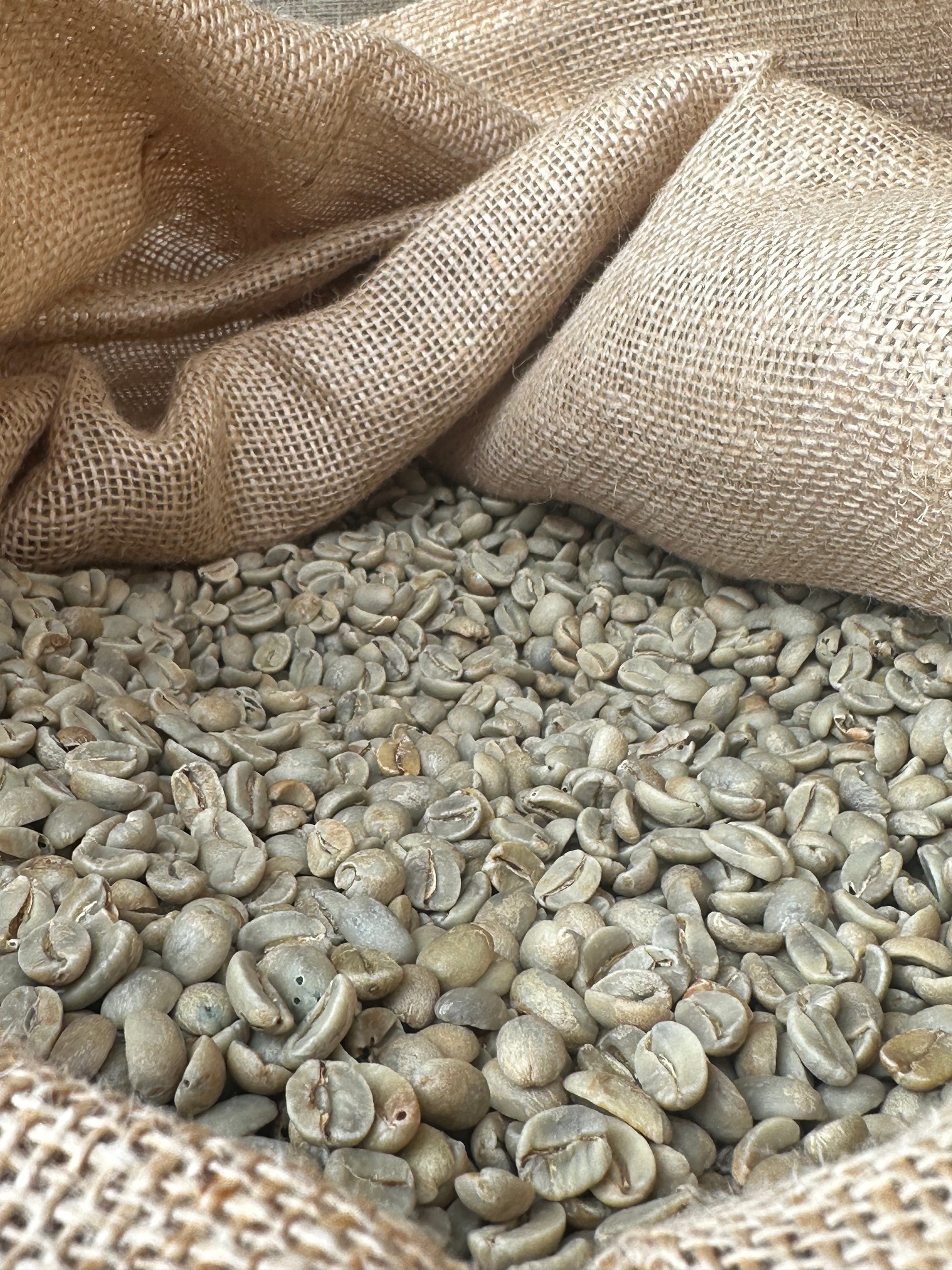 What Is The Difference Between Green Coffee And Roasted Coffee?