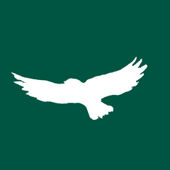 Wings of the Morning 100% Kona coffee logo