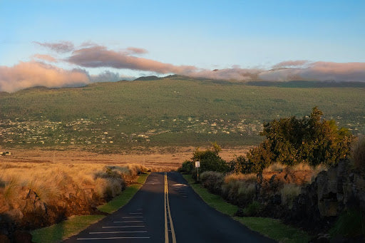 Discover The Kona Coffee Belt